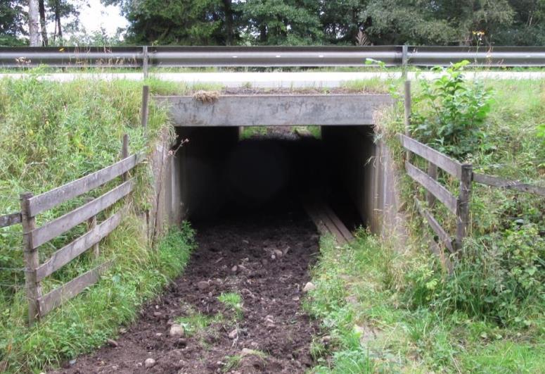 Övriga åtgärder för djurlivet Kombinerad passage för gående/cyklister och djurliv