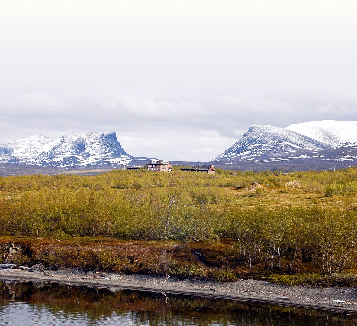 Abisko naturvetenskapliga station Abisko naturvetenskapliga station ligger omkring 20 mil norr om polcirkeln, vid 68 21 N, 18 49 E, och har en ledande roll inom internationell klimat- och