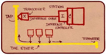 Exempel på ett annat datanät: Ethernet Uppfanns av Bob Metcalfe på Xerox 1973.