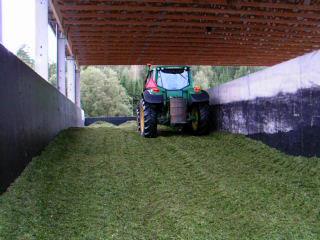 På Ekenäs har man lyckats göra plansiloensilage