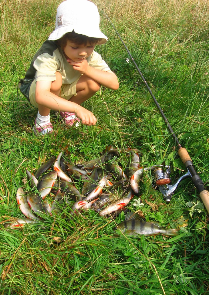 Se & göra Fiske Fiskevatten Passa på att nyttja våra härliga fiskevatten: Sjön Glimmen - Öring och röding.