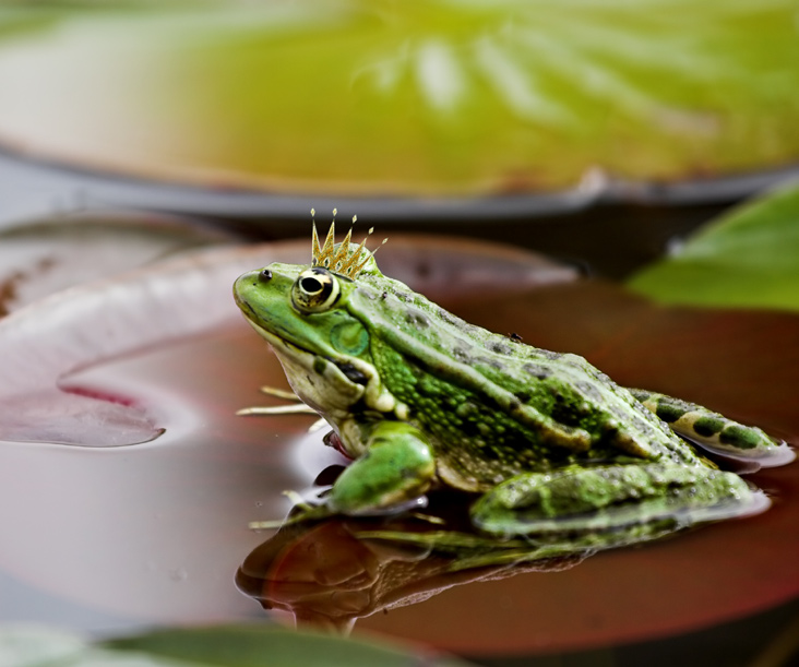 Se & göra Här finns många vackra vandringsleder att upptäcka. Foto: Shutterstock Natur Bäsna Trädgård Se denna fantastiska trädgård med olika teman och låt dig inspireras.