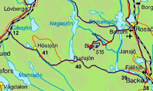 Figur 14. Referenssträckor på Brännvinsstigen. Den nedre vänstra bilden föreställer del av 12 41, medan den nedre högra bilden föreställer del av sträckan 38 40.