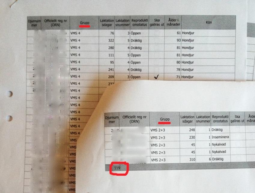 Alla uppgifter om djuret registreras via en transponder som korna bär runt halsen eller i örat.