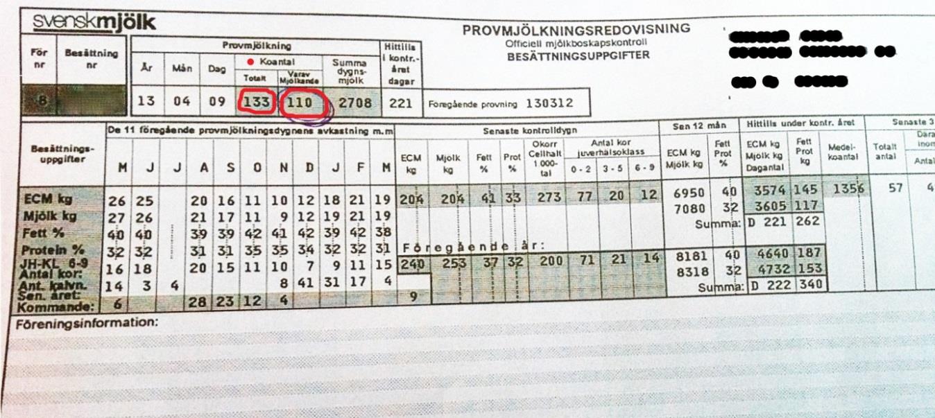 FIGUR 5. PROVMJÖLKNINGSREDOVISNING Begränsningar: Lämnar endast uppgifter om antalet mjölkande kor vid senaste provmjölkningstillfället. Provmjölkningsredovisning sker varje månad.