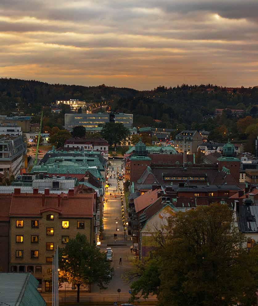 VERKSAMHETSPLAN OCH BUDGET 2017 Borås