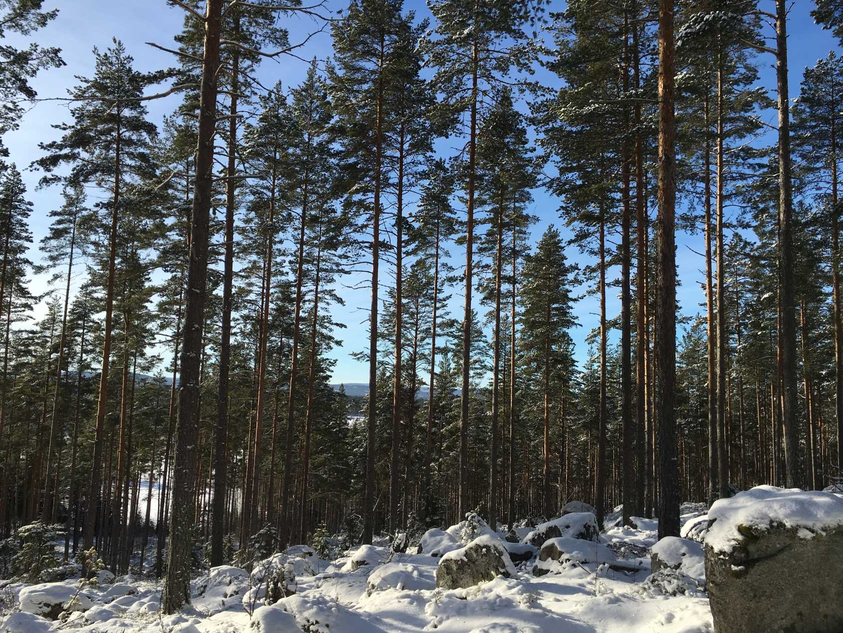 Skogs- och lantgård i Eriknäsbo ca 7 km väster om Bollnäs. Totalt ca 0 ha mark varav ca 29,4 ha skogsmark med ett uppskattat virkesförråd om ca 2 10 m³sk. Ca 19 ha inägomark.
