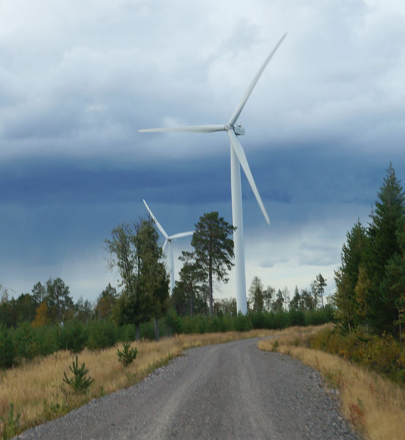 GWO VINDKRAFT, BAS Global Wind Organisation, GWO:s standard Basic Safety Training är ny standard för utbildning inom vindkraftbranschen.