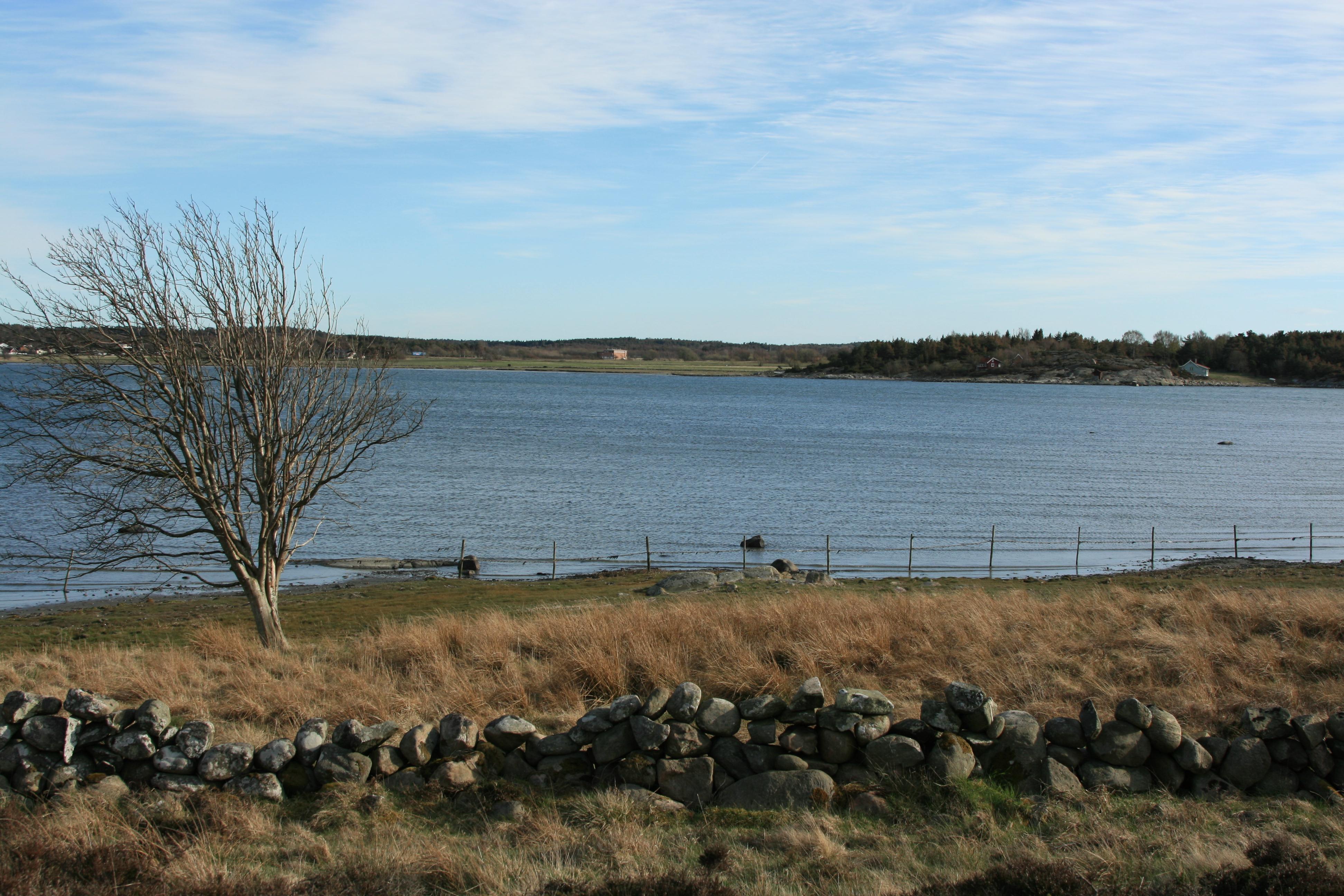 Nya allmänna råd 2006: Vad gör vi?! Hur mår våra vattendrag?