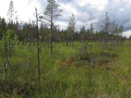 2015-09-23 Vy över delområde 3 mot väster.