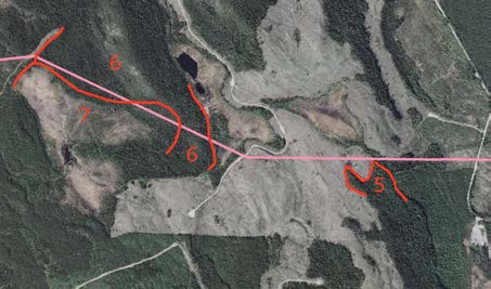 2015-09-23 Delområde 5 Skogsområde på norra delen av Kläppberget Berörd del av stråket: 150 meter Fältbesökt: 20150806 Allmän beskrivning: Äldre blandskog i sluttningen som är en del i ett större