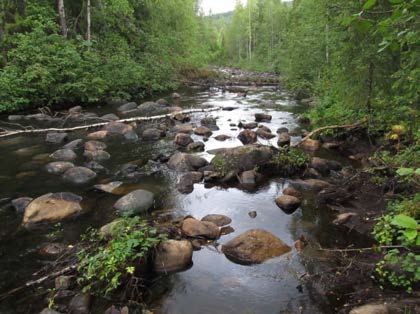 2015-09-23 Delområde 16 - Loån Fältbesökt: 2050826 Berörd del av stråket: 60 meter Andra källor: Länsstyrelsen Jämtlands databas, elfiskeregistret.