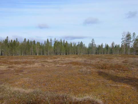 Jag kom under mina inventeringar i kontakt med två relativt naturintresserade personer som vistats en hel del just i de marker jag här undersökt, nämligen Dan Svensson och Nils Sundström, båda boende