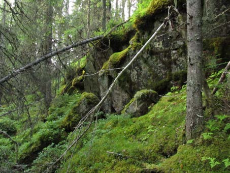 2015-09-23 Delområde 5 Skogsområde på norra delen av Kläppberget Berörd del av stråket: 300 meter Fältbesökt: 20150807 Allmän beskrivning: Äldre, ganska lågvuxen blandskog i sluttningen som är en del