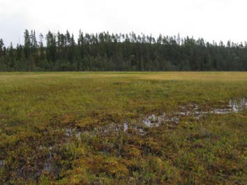 2015-09-23 Vy över delområde 13 mot öster.