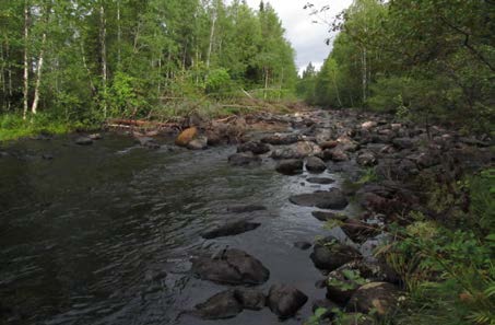 2015-09-23 Delområde 16 - Loån Fältbesökt: 2050826 Berörd del av stråket: 40 meter Andra källor: Länsstyrelsen Jämtlands databas, elfiskeregistret.