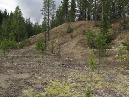 2015-09-23 Delområde 7 Sandåsar och äldre sandtag Berörd del av stråket: 80 meter Fältbesökt: 20150806 Andra källor: Jordartskarta från SGU Allmän beskrivning: Litet område vid bäcken strax söder om