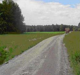 Bilaga 1-4 Handbok, Flygaska i mark- och vägbyggnad, Grusvägar 4 UTFÖRANDE Våren 2002: I första etappen kördes ca 1 000 ton ut och tippades direkt på markberedd traktorväg.