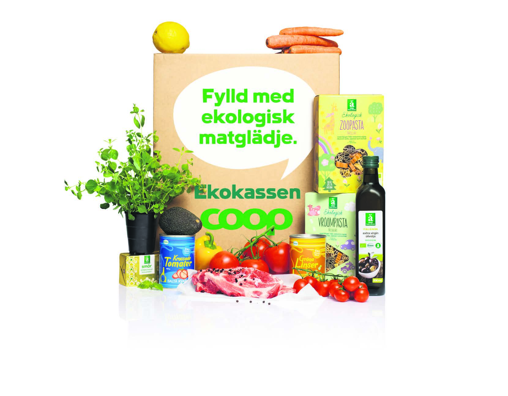 Vecka 9 Pasta med kallrökt lax och citron Tacotårta