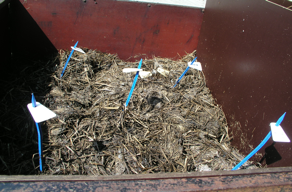 Bild 3: Kärran som användes i kompostering Bild 4: Komposten i början