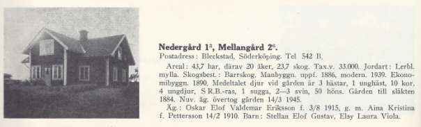 Karl Fredrik Nilsson, förre jordbruksarbetaren 24/1 1861 Styrestad 1940 Johan Oskar Eriksson 8/5 1884 Drothem Ester Maria Nilsson, hustru 27/3 1892 Hedvig Tyra Maria Eufemia, dotter, pensionerad 11/9