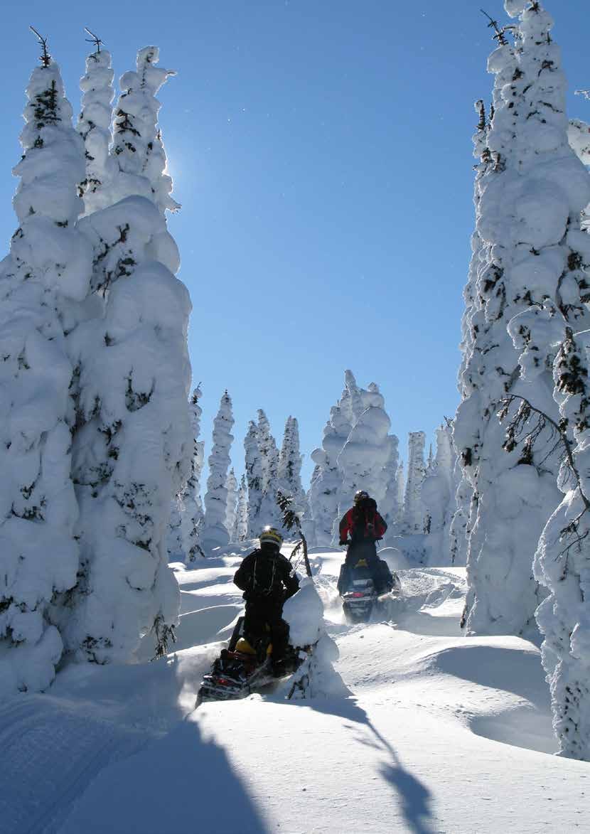 VILLKOR SNÖSKOTERFÖRSÄKRING 2013-11-27