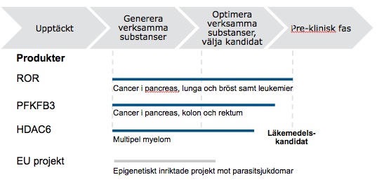 Läkemedelsutveckling Kancera bedriver utveckling av cancerläkemedel som tar sin start i ett nytt behandlingskoncept och avslutas med en patentsökt läkemedelskandidat som erbjuds till försäljning till