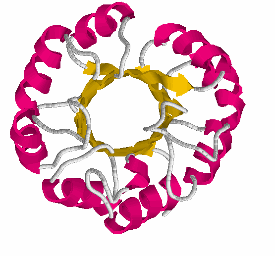 - 8 - Namn:... 19) Beskriv strukturen hos detta protein. Var tror du att det aktiva centret är beläget?