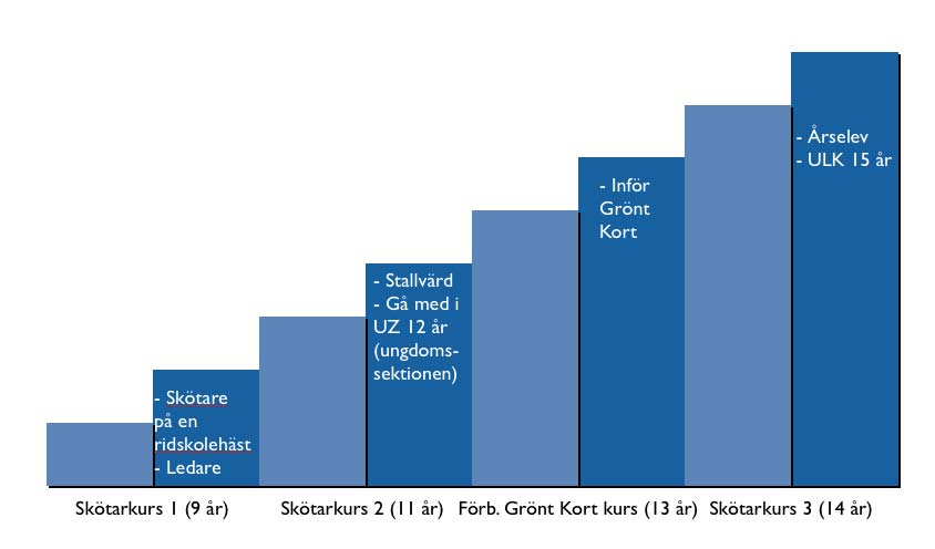 UZ är en ungsomssektion som vill klubben, ungdomarnas och hästarnas bästa. Det ska vara roligt för alla våra medlemmar att komma till klubben och engagera sig.