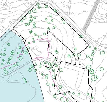 Detaljplan för Blommeröd, Bosjökloster 1:595 Samrådshandling 2016-12-19 Strandskydd Från Västra Ringsjöns strandlinje råder strandskydd 300 meter inåt land och 100 meter ut i vattnet.