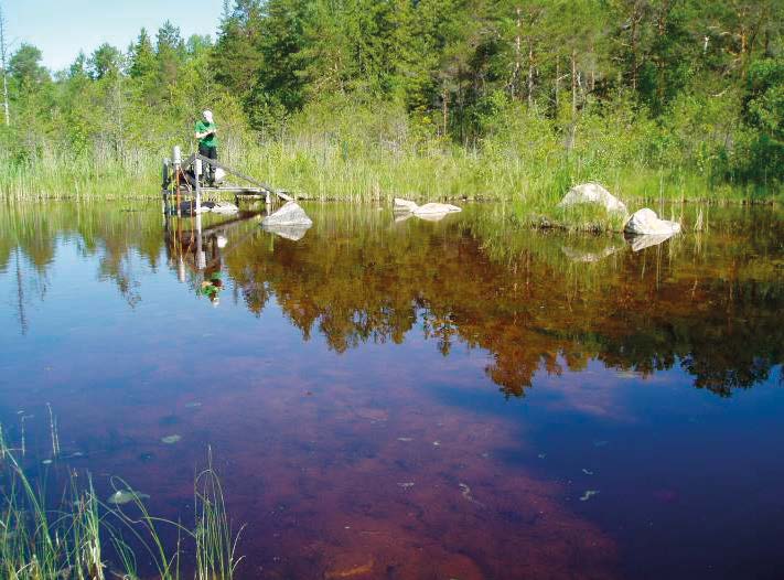 3.1.5 Göl AFM001421 Gölen är utgrävd i ett kärr omgiven av skog. Vattenytan uppskattades till ca 500 m 2, baserat på en uppmätt längd, i NV-SO sträckning, på ca 28 m och en medelbredd på 18 m.