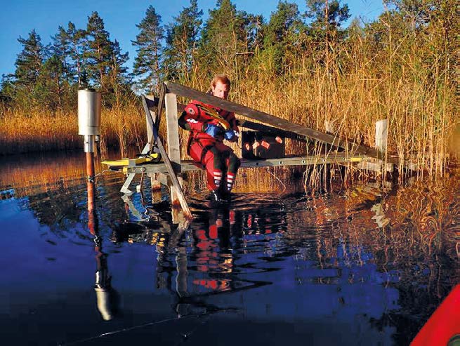 I de nya gölarna har viss utplantering av växtlighet skett under våren/försommaren året de skapades.