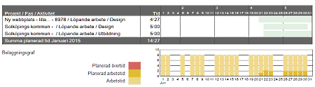 Tre månadsrapporter i listformat Listan i dessa varianter av månadsrapporter visar alltid varje enskild registrering för en specifik användare under en valfri månad.