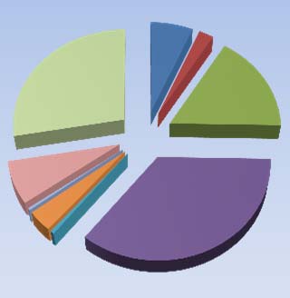 Ekonomi Årsavgiften har kunnat hållas oförändrad under 2012, trots ökade räntekostnader Fördelning intäkter och kostnader Intäktsfördelning 2012 7% 1% 1% Årsavgifter Hyresintäkter Övriga intäkter