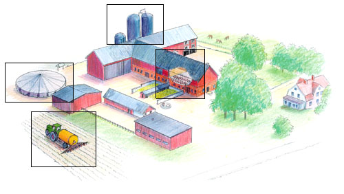 LIFE Ammoniak Bärkraftig mjölkproduktion genom minskning av ammoniakförluster på gårdsnivå Ammoniak - ett miljöhot Projektorganisation Praktiska råd Projektrapport Publikationslista Ammoniak är en