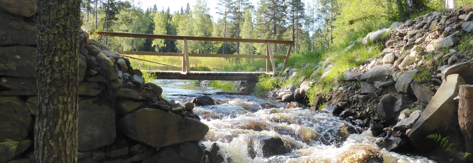 Utrivning eller självreglering Vid en utrivning tas dammen bort och en forsmiljö återskapas.