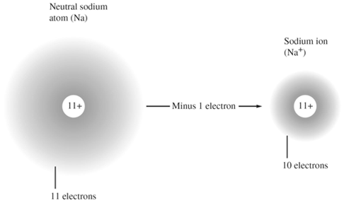 Avsnitt 2.3 Avogadros hypotes Kemisk bindning Kovalenta bindningar Uppstår genom att elektroner delas av två atomer. Den resulterande atomsamlingen kallas molekyl. Copyright Cengage Learning.