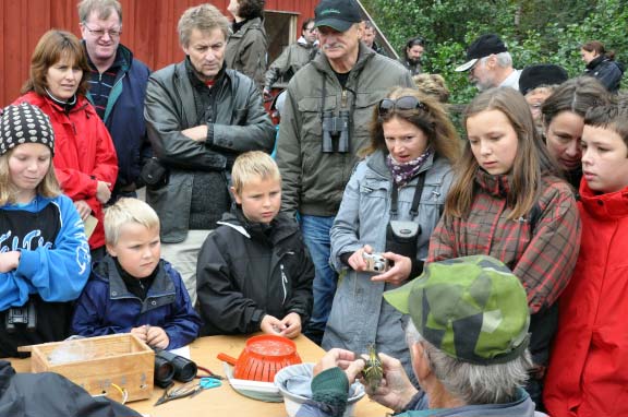 Sammanlagt 16 arter märktes i antal över 100 ex: blåmes (888), rödhake (739), grönsiska (688), kungsfågel (619), talgoxe (535), stjärtmes (459), lövsångare (434), gråsiska (423), järnsparv (366),