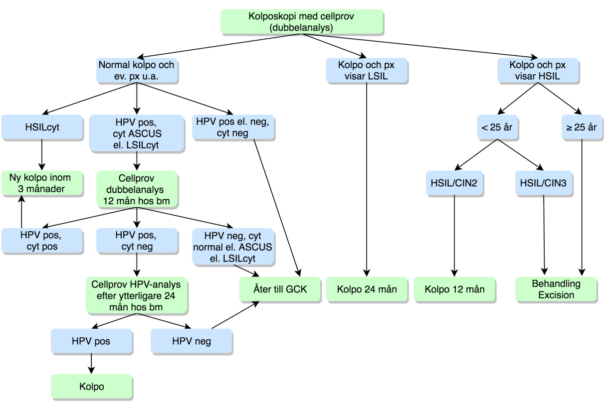 ökar risken betydligt att hon har HSIL ca 60 % (137). Hon bör då handläggas motsvarande HSILcyt (se nedan). Flödesschema 4: Cytologiska analysen visar LSILcyt eller ASCUS. Blå box är fynd/tillstånd.