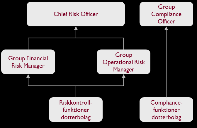 bär dessa funktioner fullt ansvar för de risker som den egna verksamheten medför.