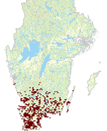 Eventuellt två nya arter för kommunen, på egna tomten, utan belägg vare sig av foton eller fångst under samma vecka, kunde jag tas på alvar.