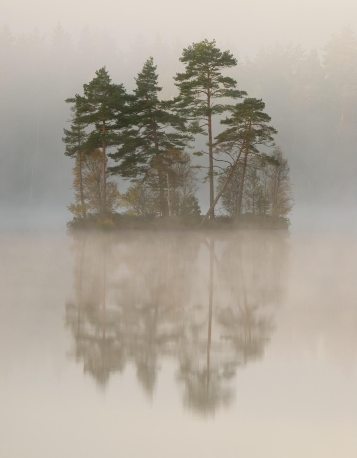 Kommunala kontakter. Samarbetet med kommunens naturvårdshandläggare fortsätter regelbundet.