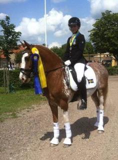 Mästerskap Ponnydressyr Arrangerades även 213 i Värmland av Equality Riders. Linnea Holmgren-Indiana Joe, RS segrade i kat. C. Viktoria Skoglund- Fairway, Wäse RF tog brons i kat. B.