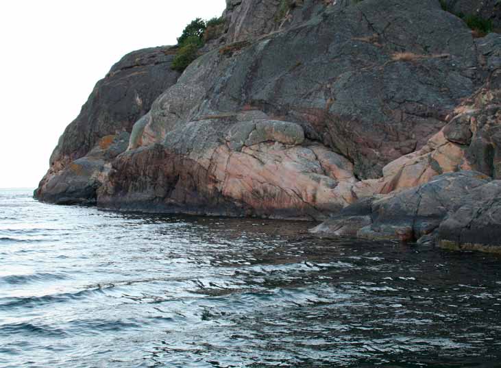 Figur 22. Station Fiolklippan på södra Tjörn. Fiolklippan Bergväggen vid Fiolklippan är vertikal till sluttande med en del överhäng. Hårdbotten övergår i mjukbotten djupare än 20 m.