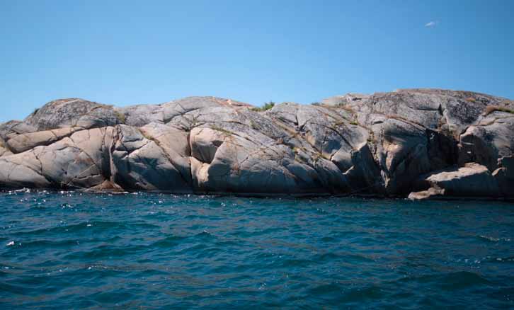 Figur 8. Station St Brattskär i Kosterfjorden. St. Brattskär Den nordligaste lokalen, St. Brattskär i Kosterfjorden, utgörs av en både vertikal och sluttande bergvägg med en del överhäng.