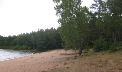 Inventering av öppen strandmiljö runt Vänern Del 1 i projekt