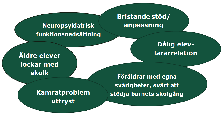 2.4 Att utreda behovet av särskilt stöd och orsaker till frånvaro Alla elever ska få stöd och stimulans för att utvecklas så långt som möjligt.