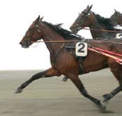 0m Filippa ldh 0m Wilma Bertilsson 0m Gustav Johansson Å000 Ljusrön ca kl.0 000 Dunevad travcamps lopp ateori A, körda av AB eller C licensinnehavare. 0 m. Tillä Rekordhandicap rundtid.,0.