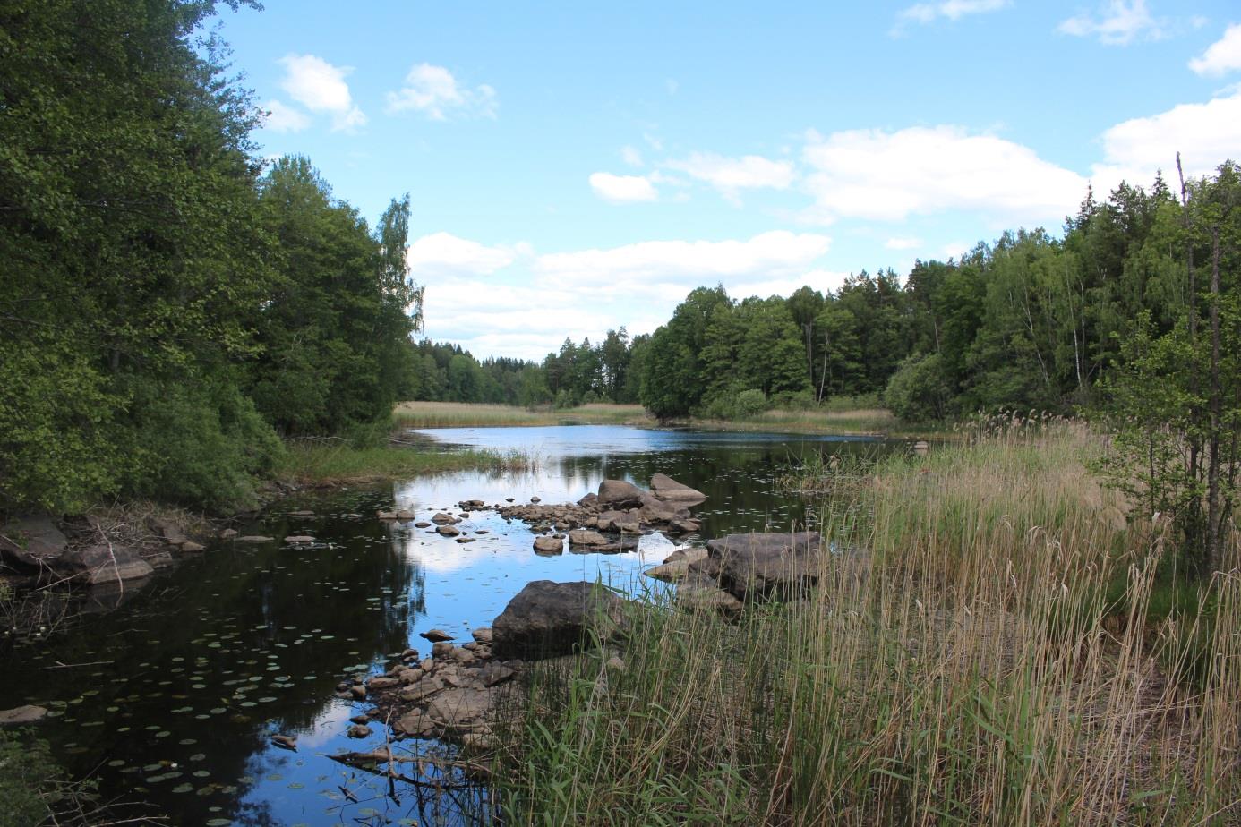 M4 Sundet Hästö. Mycket mjuka sediment noterades. Ett mycket stort antal levande exemplar av större dammussla noterades i området. 44 exemplar längmättes där variationen var 54-130 mm.