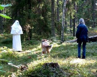 Till uppfödare av Lång- och korthårig Collie som är medlemmar i Svenska Collieklubben. Sydöstra Lokalområdet håller på att planera nästa års aktiviteter.